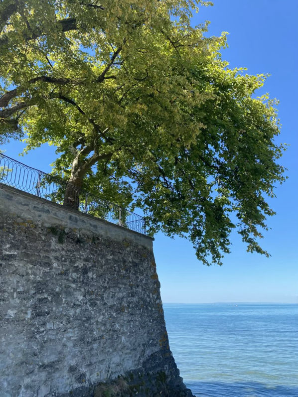Bodensee - Wasserburg
