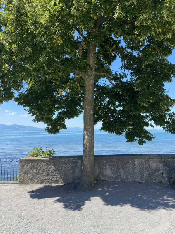 Bodensee - Wasserburg