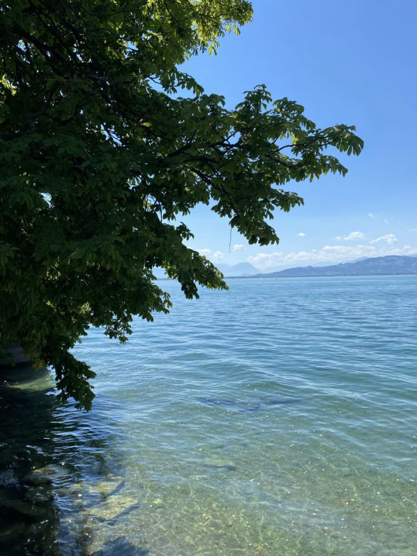 Bodensee - Wasserburg