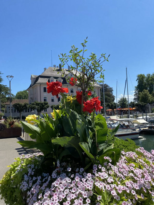 Bodensee - Wasserburg