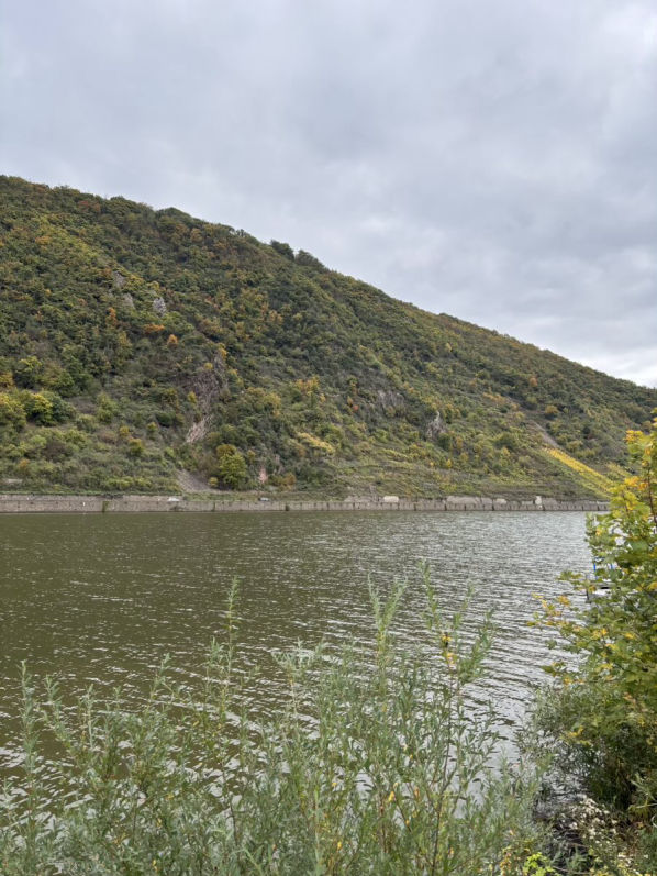 Löf an der Mosel 
