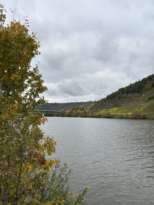 Löf an der Mosel 