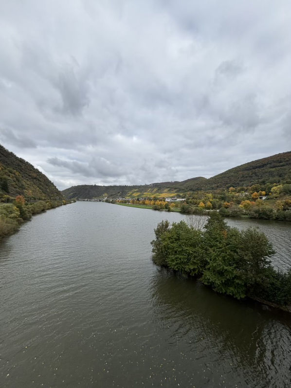 Löf an der Mosel 
