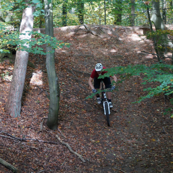 Syke - Wolfsschlucht