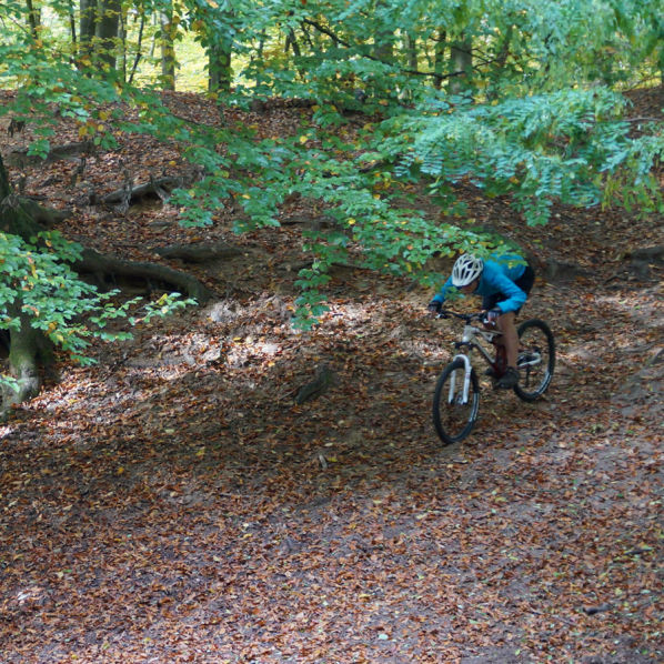 Syke - Wolfsschlucht