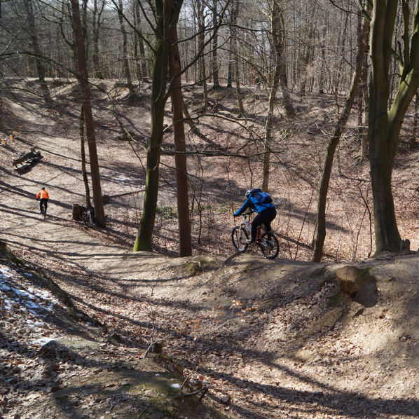 Syke - Wolfsschlucht