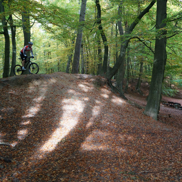 Syke - Wolfsschlucht